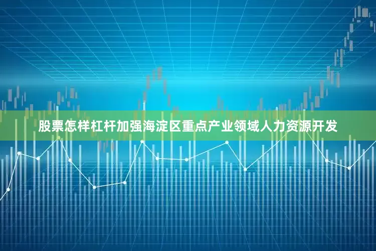 股票怎样杠杆加强海淀区重点产业领域人力资源开发