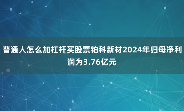 普通人怎么加杠杆买股票铂科新材2024年归母净利润为3.76亿元