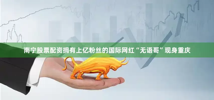 南宁股票配资拥有上亿粉丝的国际网红“无语哥”现身重庆